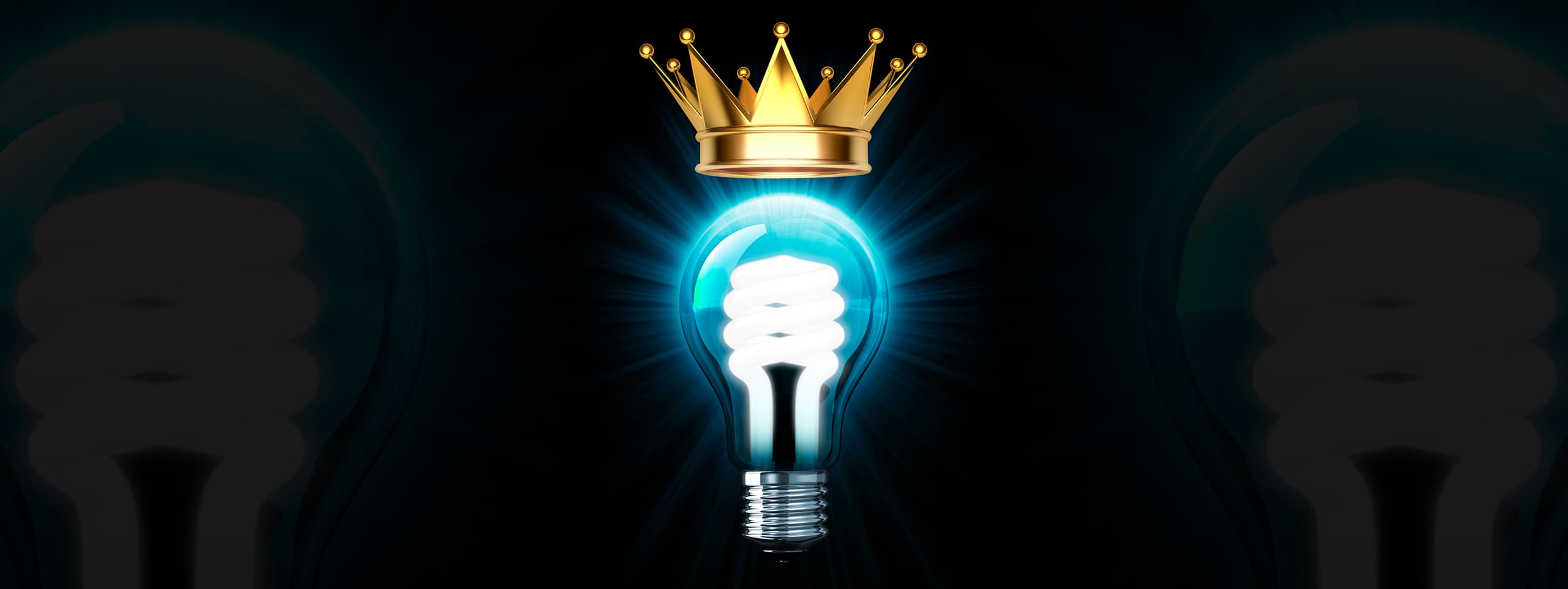 Illustration of a lightbulb with a crown