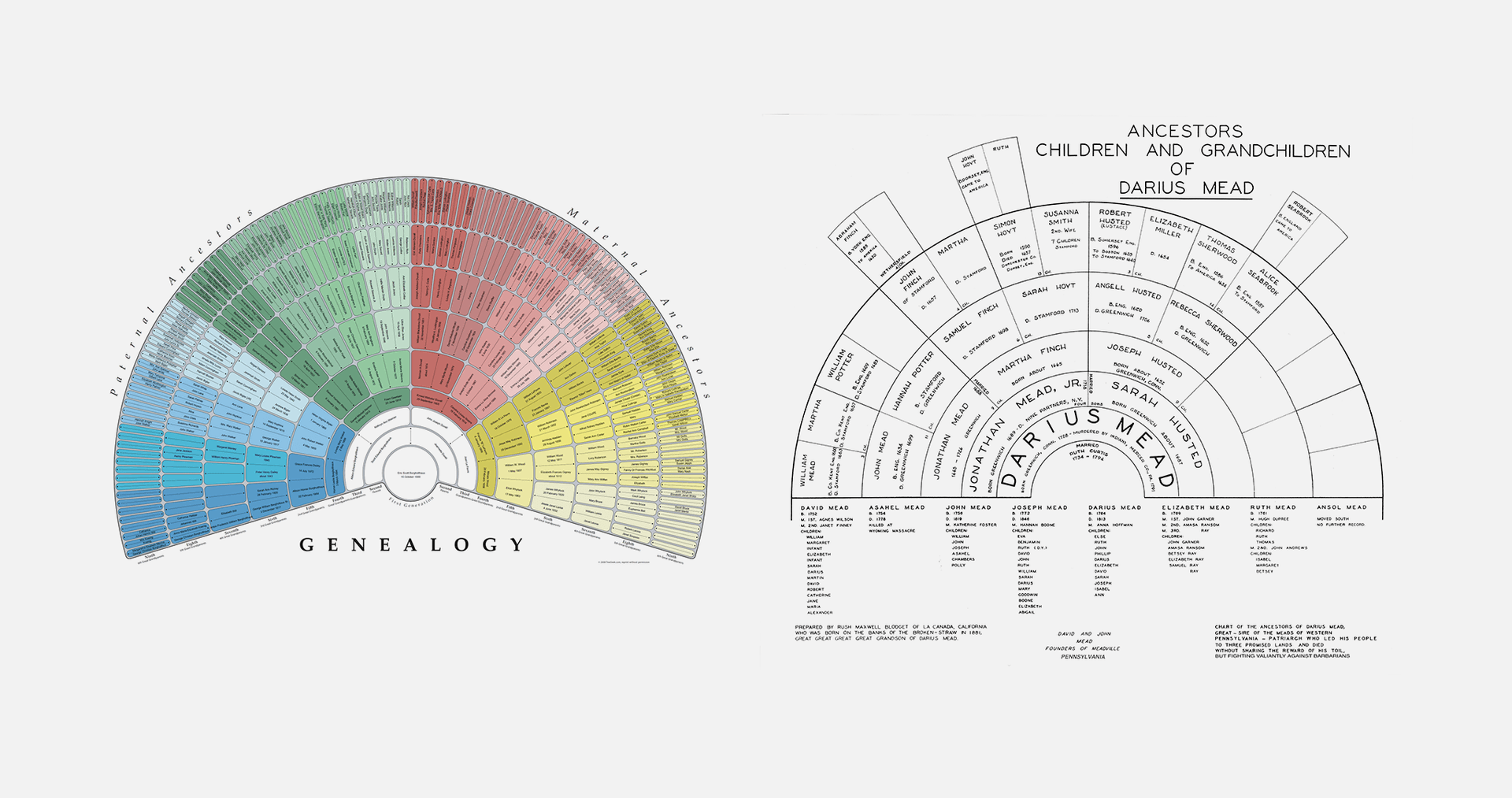 genealogy_examples